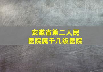 安徽省第二人民医院属于几级医院