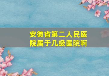 安徽省第二人民医院属于几级医院啊