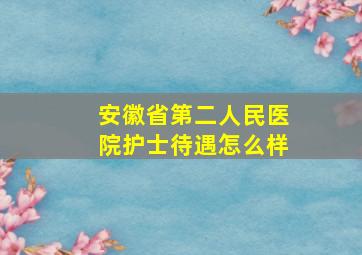 安徽省第二人民医院护士待遇怎么样