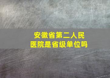 安徽省第二人民医院是省级单位吗