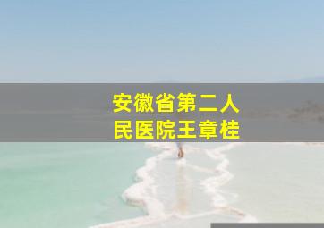 安徽省第二人民医院王章桂