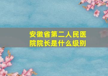 安徽省第二人民医院院长是什么级别