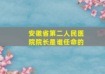 安徽省第二人民医院院长是谁任命的