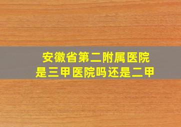 安徽省第二附属医院是三甲医院吗还是二甲