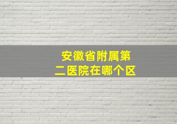 安徽省附属第二医院在哪个区