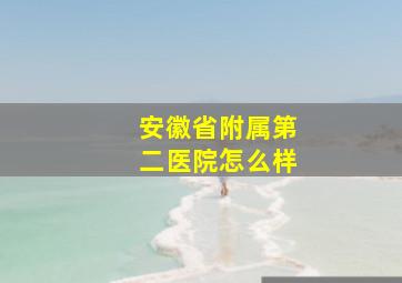 安徽省附属第二医院怎么样