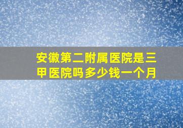 安徽第二附属医院是三甲医院吗多少钱一个月