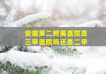 安徽第二附属医院是三甲医院吗还是二甲