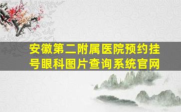 安徽第二附属医院预约挂号眼科图片查询系统官网