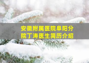 安徽附属医院阜阳分院丁涛医生简历介绍