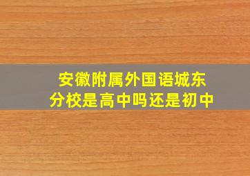 安徽附属外国语城东分校是高中吗还是初中