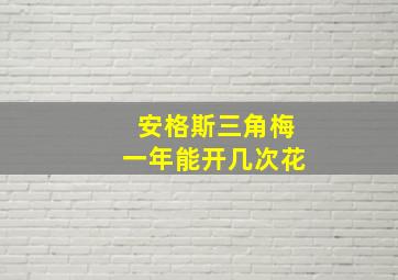 安格斯三角梅一年能开几次花