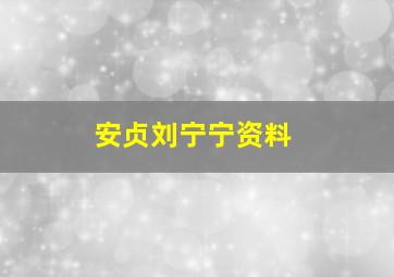 安贞刘宁宁资料