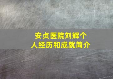 安贞医院刘辉个人经历和成就简介