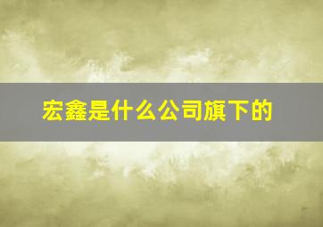 宏鑫是什么公司旗下的