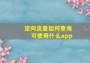 定向流量如何查询可使用什么app