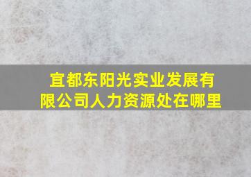 宜都东阳光实业发展有限公司人力资源处在哪里