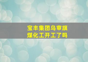 宝丰集团乌审旗煤化工开工了吗