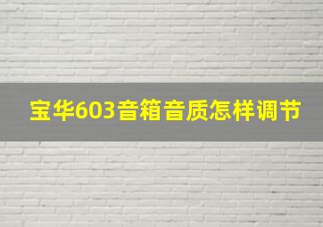 宝华603音箱音质怎样调节