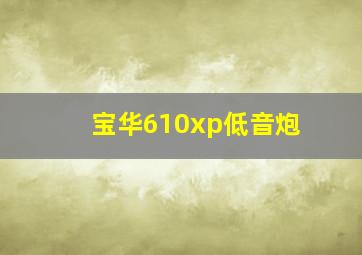 宝华610xp低音炮