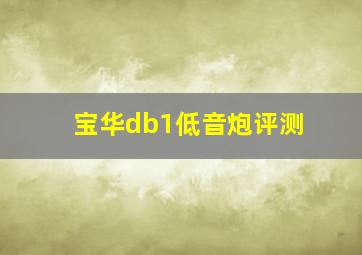 宝华db1低音炮评测