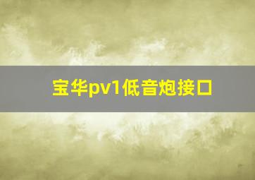 宝华pv1低音炮接口