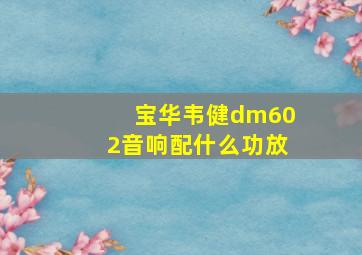 宝华韦健dm602音响配什么功放