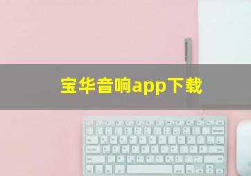 宝华音响app下载