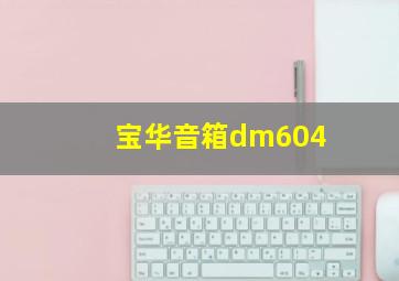 宝华音箱dm604