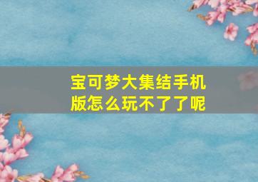 宝可梦大集结手机版怎么玩不了了呢