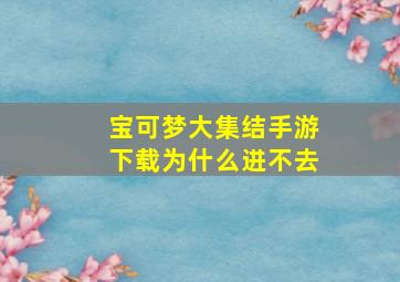 宝可梦大集结手游下载为什么进不去