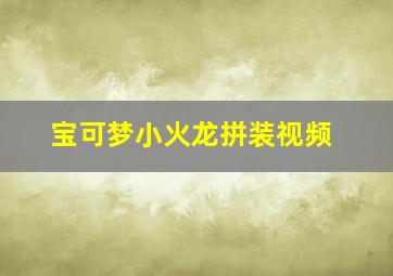 宝可梦小火龙拼装视频