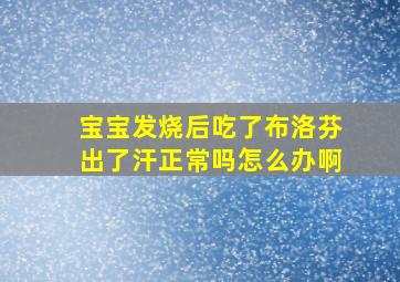 宝宝发烧后吃了布洛芬出了汗正常吗怎么办啊