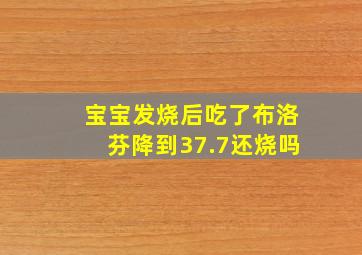 宝宝发烧后吃了布洛芬降到37.7还烧吗