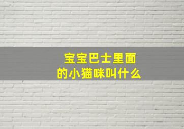 宝宝巴士里面的小猫咪叫什么