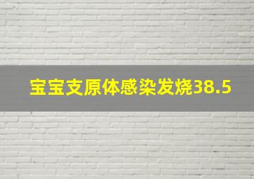 宝宝支原体感染发烧38.5