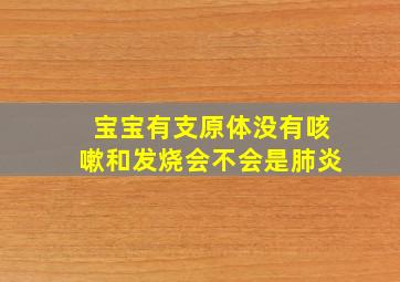 宝宝有支原体没有咳嗽和发烧会不会是肺炎