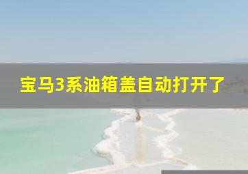 宝马3系油箱盖自动打开了