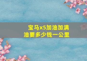 宝马x5加油加满油要多少钱一公里