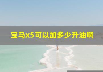 宝马x5可以加多少升油啊