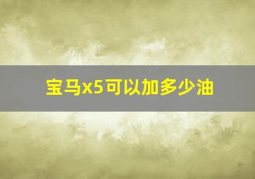 宝马x5可以加多少油