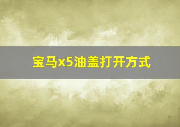 宝马x5油盖打开方式