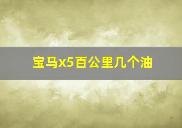 宝马x5百公里几个油