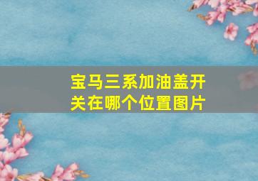 宝马三系加油盖开关在哪个位置图片