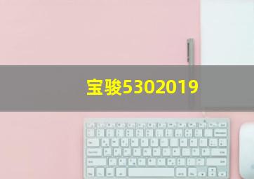 宝骏5302019