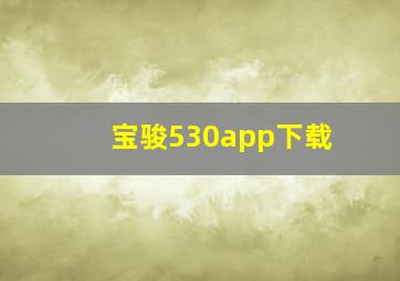 宝骏530app下载