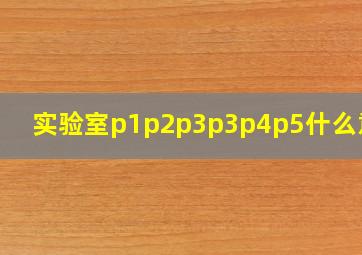 实验室p1p2p3p3p4p5什么意思