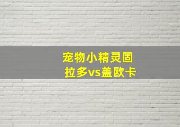 宠物小精灵固拉多vs盖欧卡