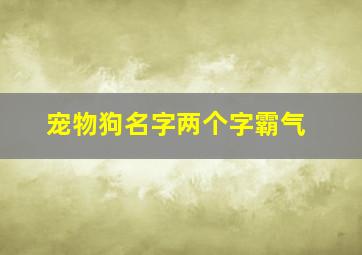 宠物狗名字两个字霸气