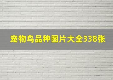 宠物鸟品种图片大全338张